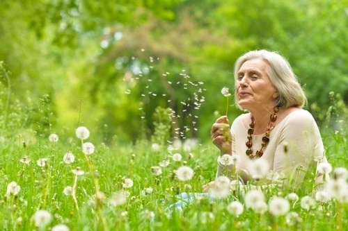 happy elder woman in dandelion field blowing out seeds